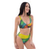 Abstract Recycled High-Waisted Bikini